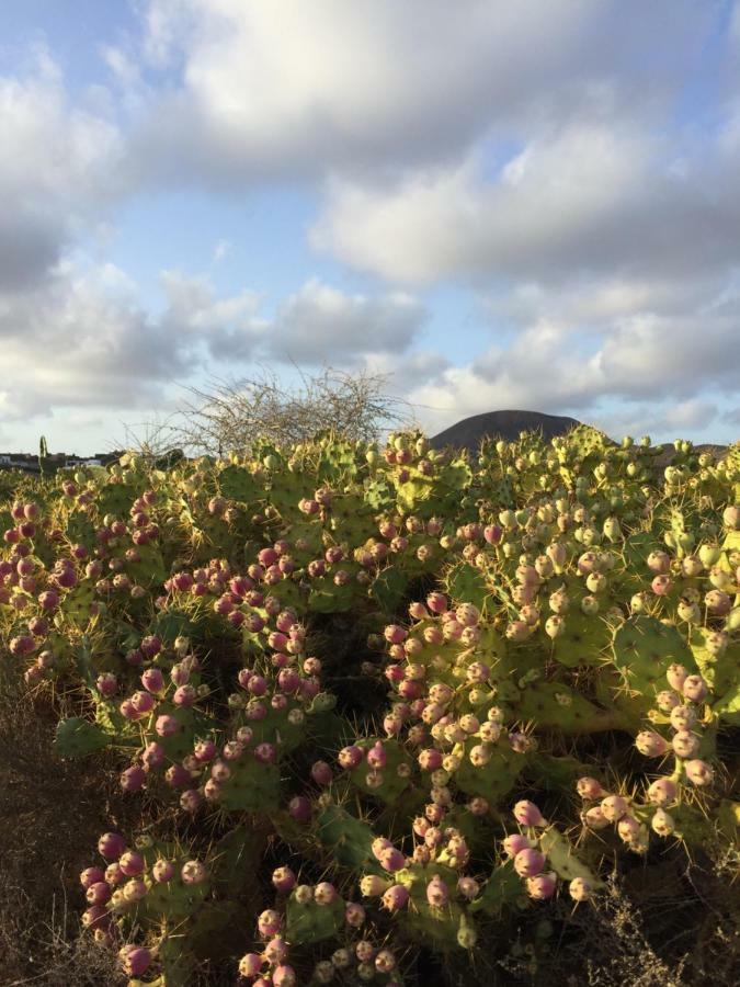 Corralejo Sun 114 Leilighet Eksteriør bilde